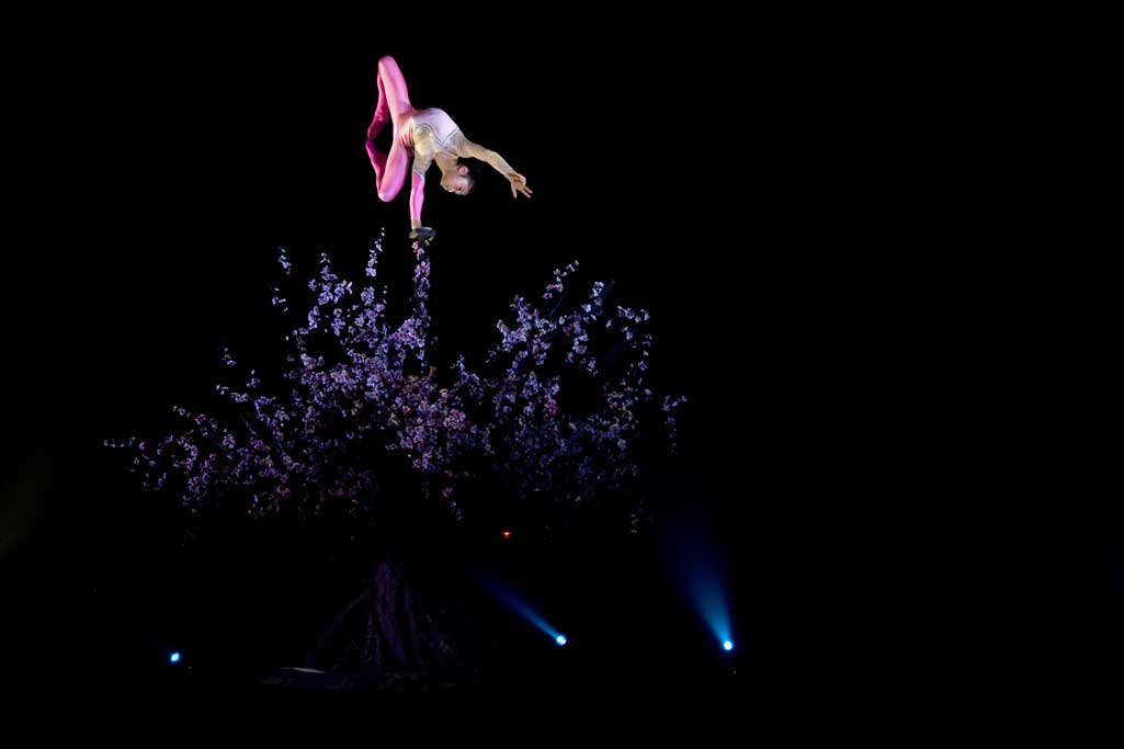 Spectacle Li Ya la Fille de l'Empereur au Cirque Phenix par les Etoiles de Pekin