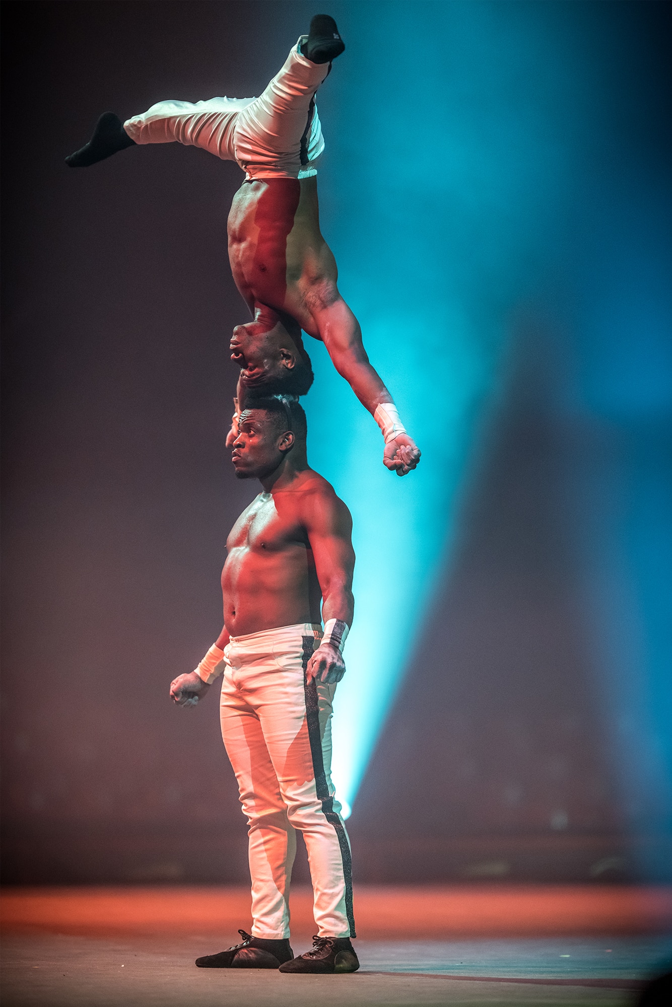 Millesime Cirque Phenix Porte Acrobatique